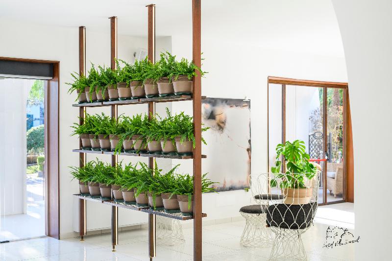 ホテル Villa Durrueli Resort & Spa