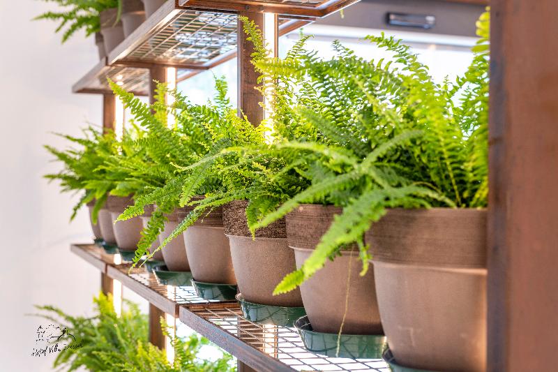 ホテル Villa Durrueli Resort & Spa