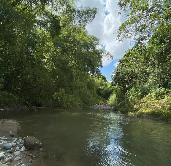 Finca Hotel Monte Paz