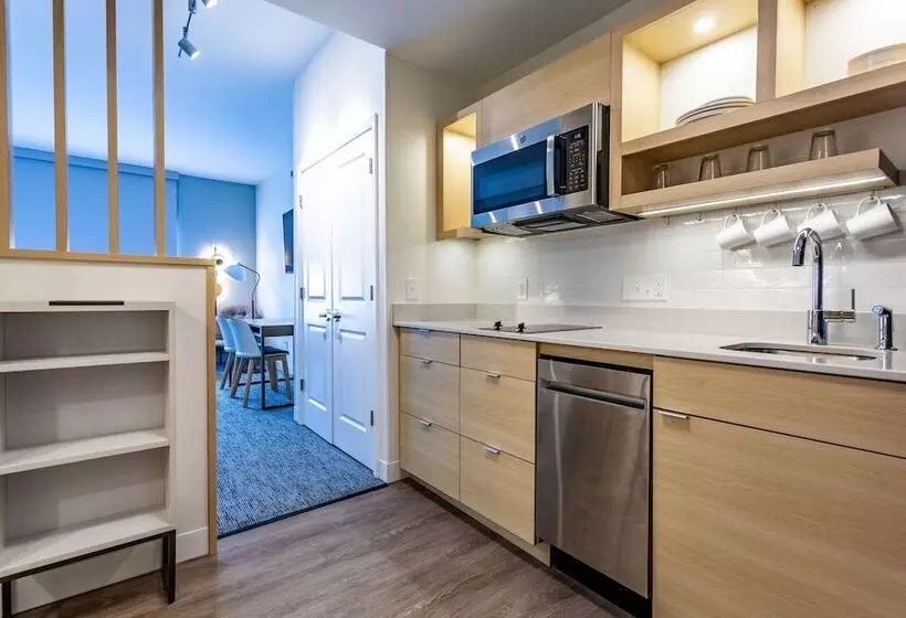 ホテル Towneplace Suites By Marriott Raleigh   University Area