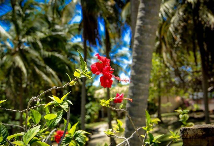 פנסיון Porto Do Sol   Chalé 25