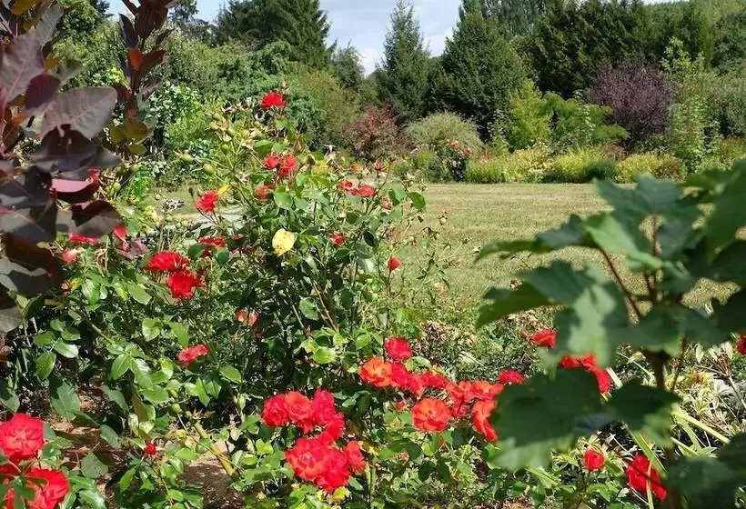 Hotelli Cabane Dans Les Arbres   Tree House
