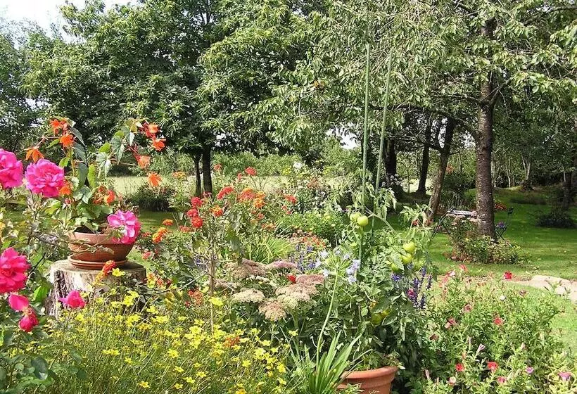 Hotelli Cabane Dans Les Arbres   Tree House