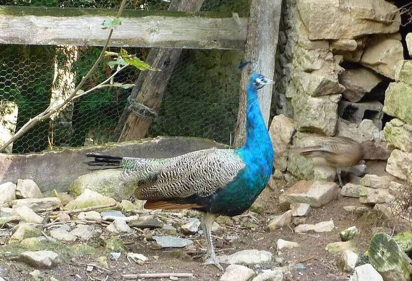 فندق Cabane Dans Les Arbres Tree House