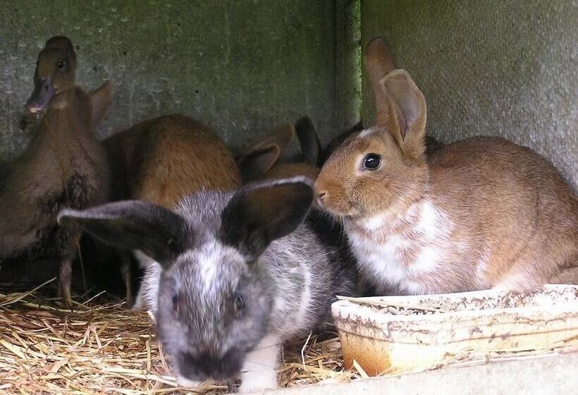 فندق Cabane Dans Les Arbres Tree House
