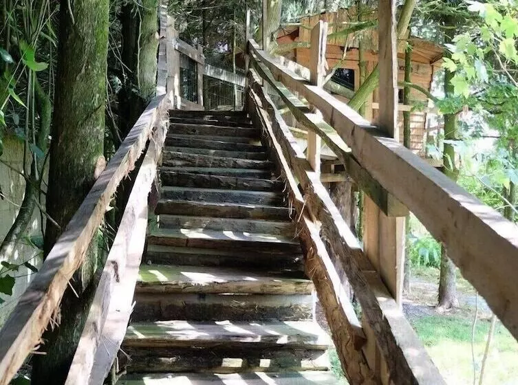 Hotelli Cabane Dans Les Arbres   Tree House