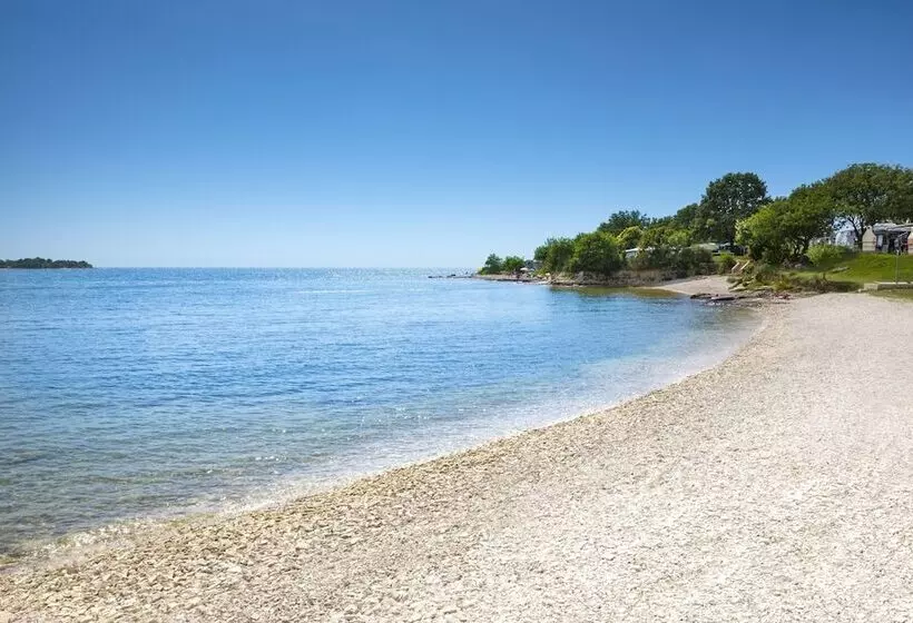 Hotelli Mediteran Kamp Mobile Homes In Naturist Camping Solaris