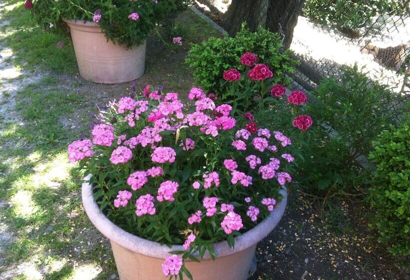 교외 호텔 Cascina Zenevrea