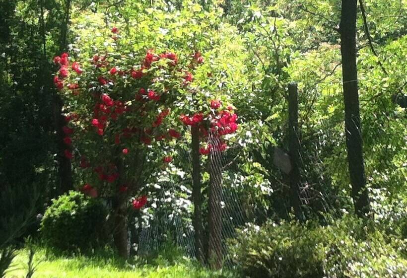 교외 호텔 Cascina Zenevrea