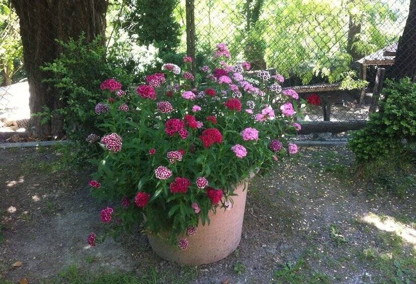 교외 호텔 Cascina Zenevrea