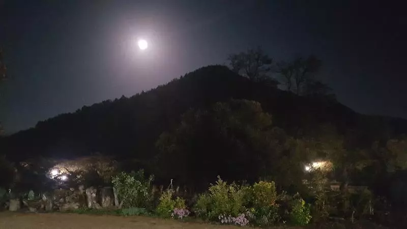 Moonlight House