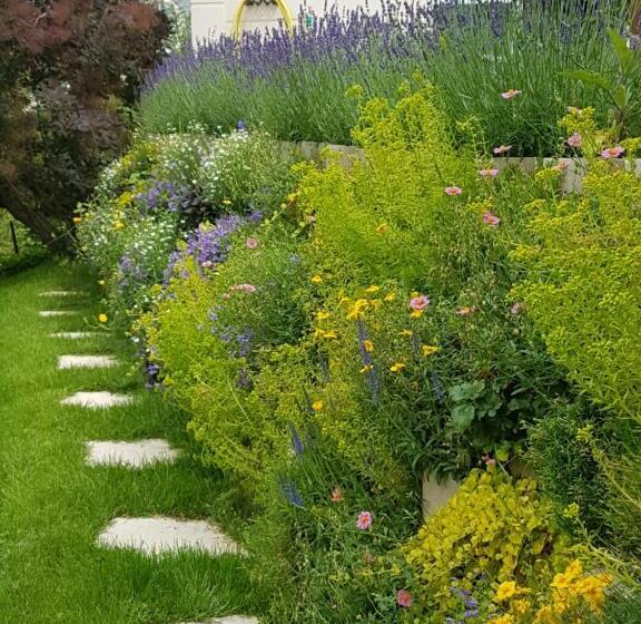 פנסיון La Clémencerie Chambre D Hôtes