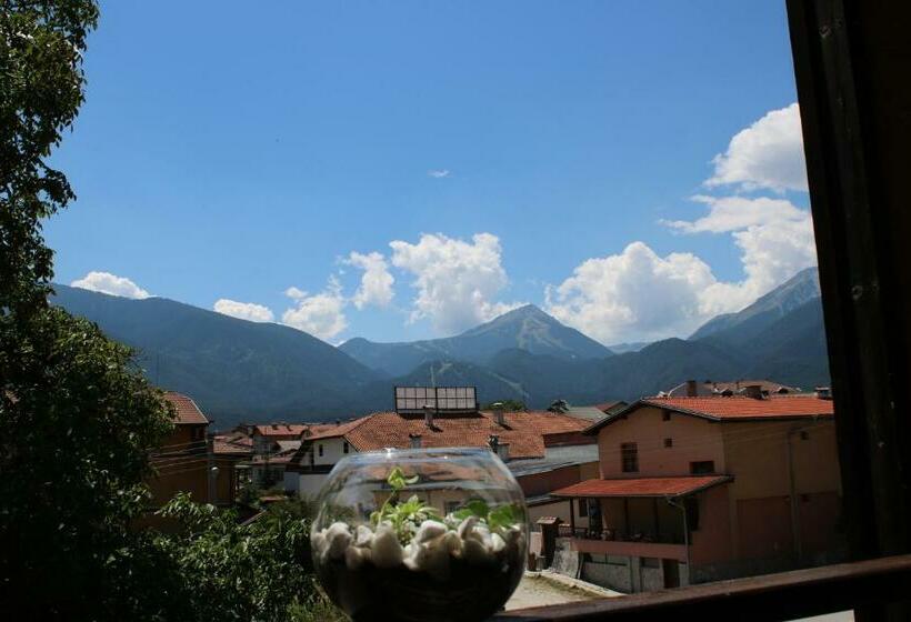 בית מלון כפרי North Star