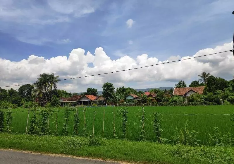 ペンション Gini Homestay