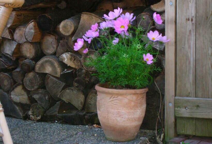 צימר Door & Roos