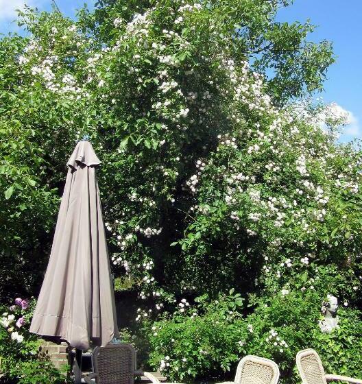 צימר Door & Roos