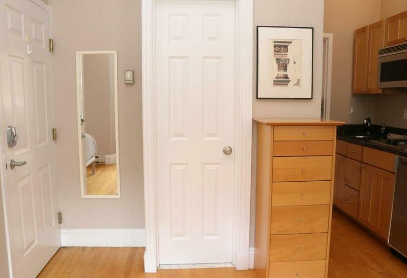 Charming Studio In Boston Brownstone, C.ave#5
