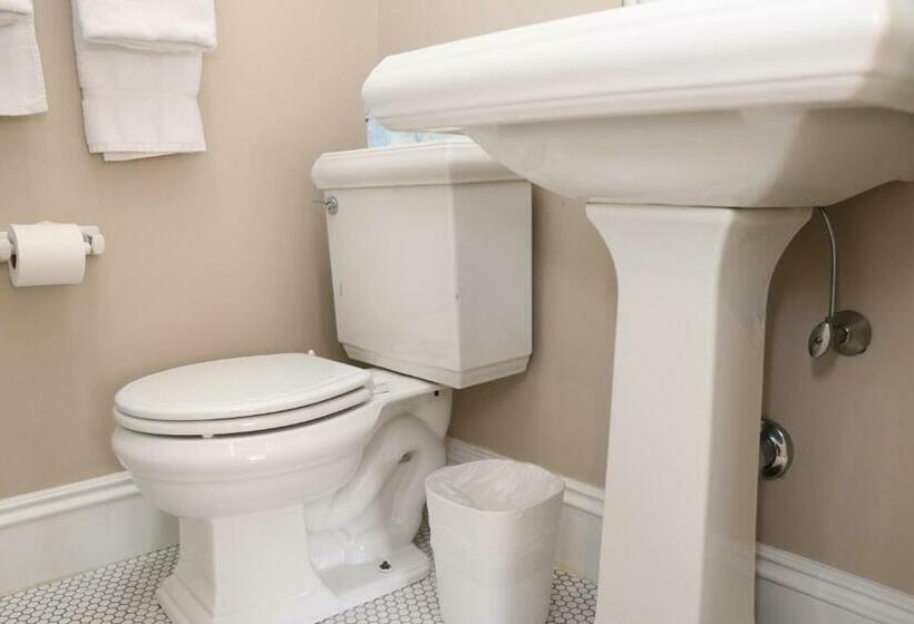 Charming Studio In Boston Brownstone, C.ave#5