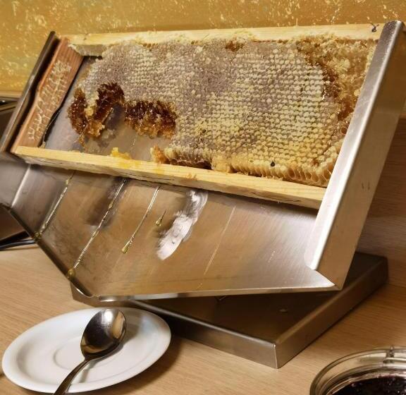 酒店 Belchin Garden Spa&wellness