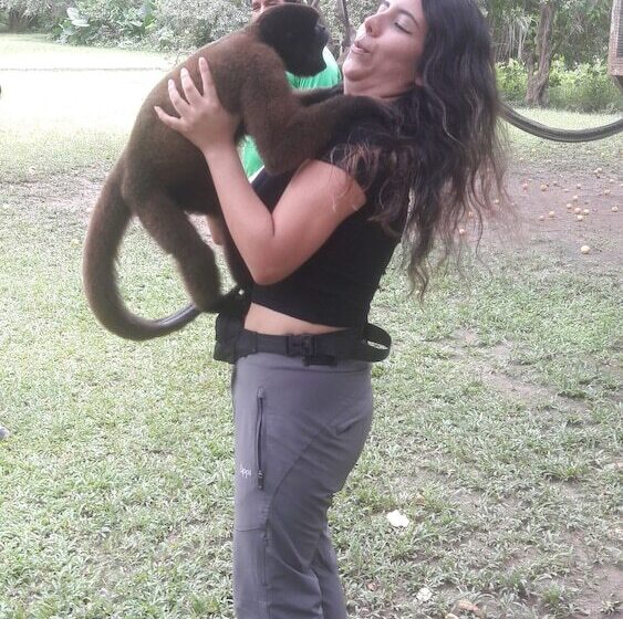 هتل Explorer Lodge