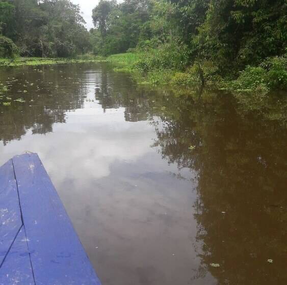 هتل Explorer Lodge