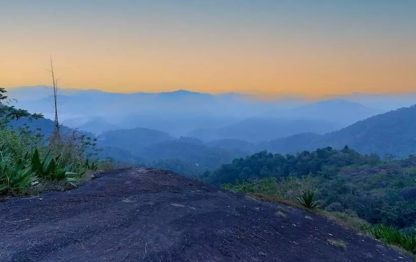 Hotelli Haze And Kites Resort Munnar