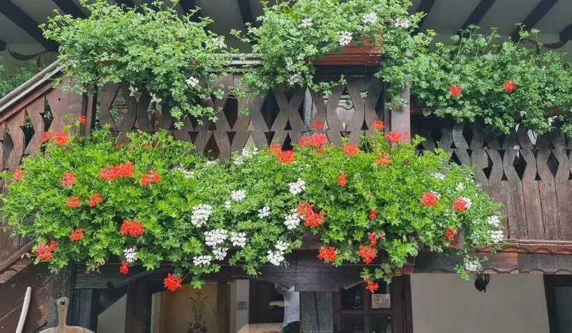 هتل стаи за гости The Old House