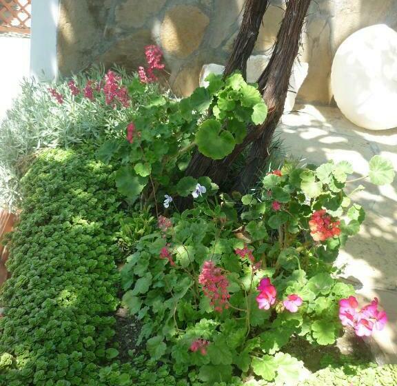 膳宿费 Guest House Harmony