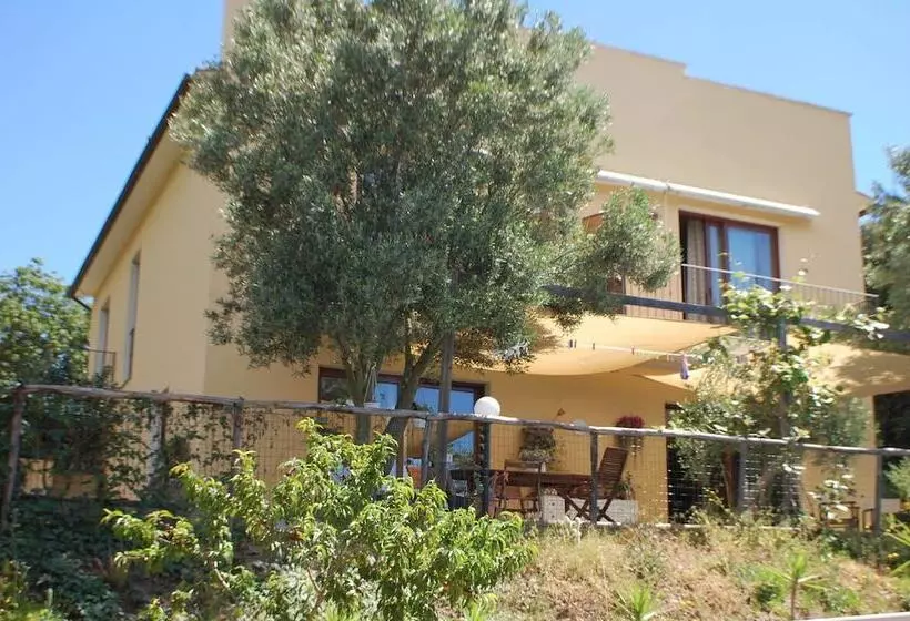B&b Il Melo Cotogno