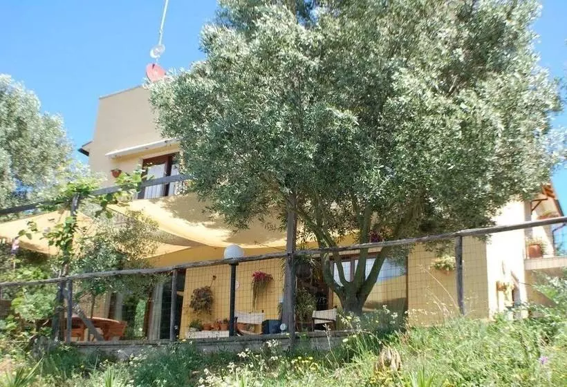 B&b Il Melo Cotogno