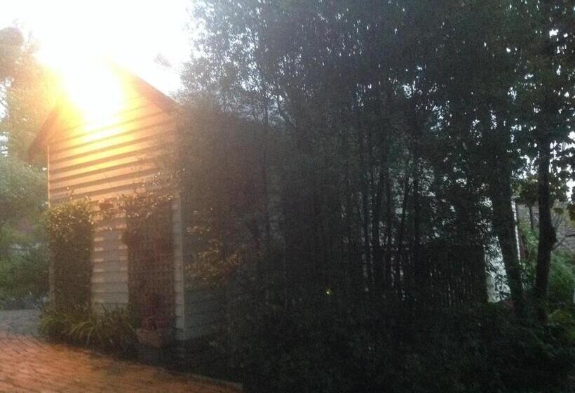 住宿加早餐 Belgrave Hideaway