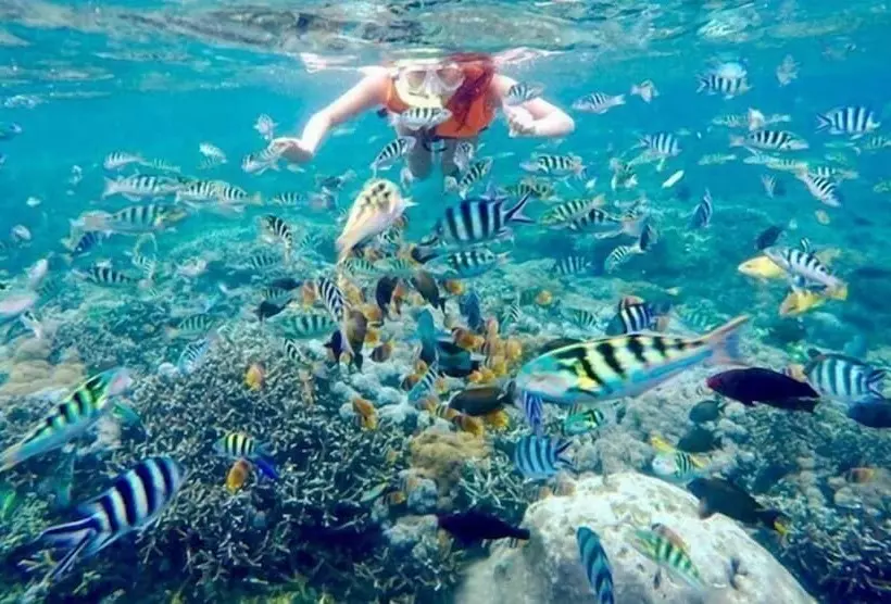 Aamiaismajoitus (B&B) Ocean Brothers