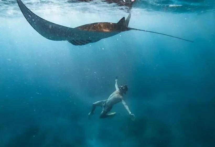 Aamiaismajoitus (B&B) Ocean Brothers