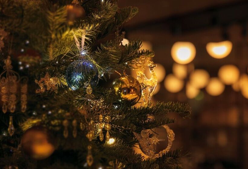 בית מלון כפרי Nikko Style Nagoya