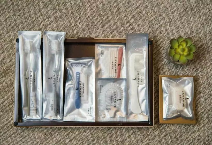 Lavande Hotel Heyuan Wanlong City