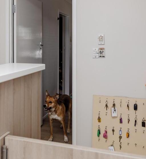 Мотель Starline Motor Inn