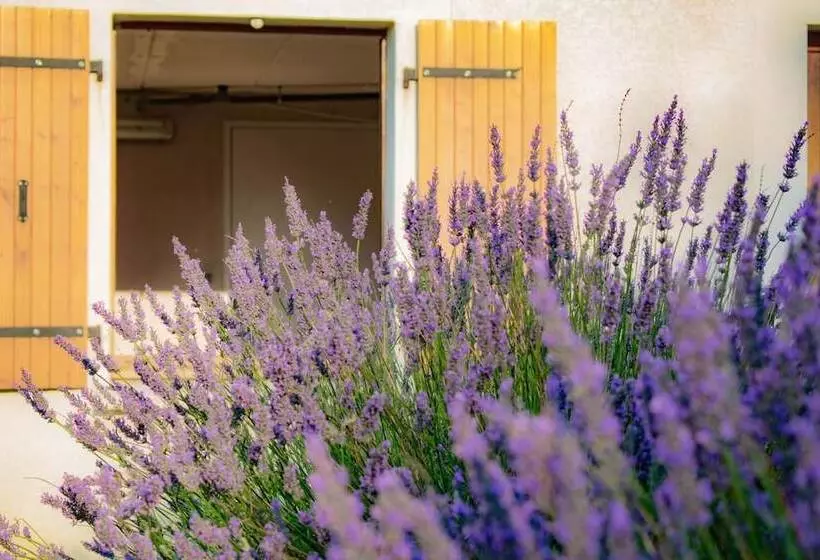 ペンション Chambre D Hôtes Lempery