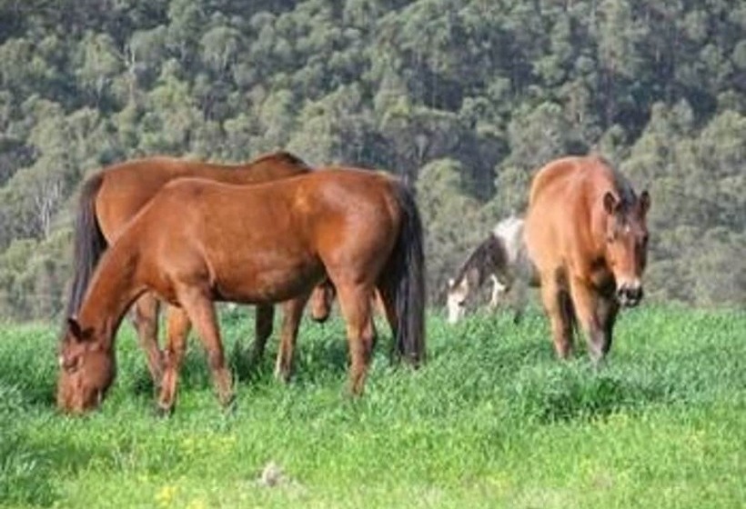 膳宿费 Hill Top Country Guest House