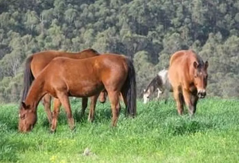 Majatalo Hill Top Country Guest House