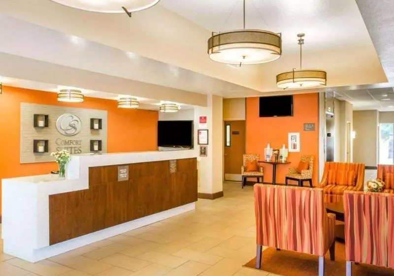 호텔 Comfort Suites