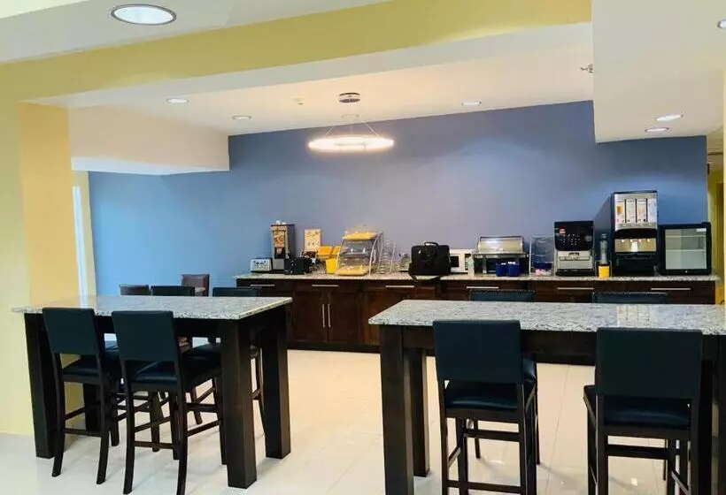 Otel Days Inn & Suites By Wyndham Tampa / Raymond James Stadium