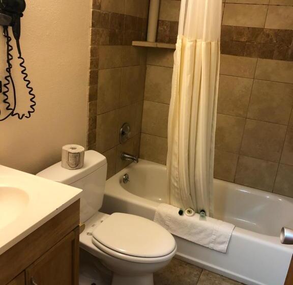 فندق Downtown Value Inn