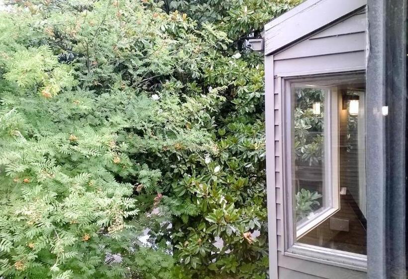 فندق Downtown Value Inn