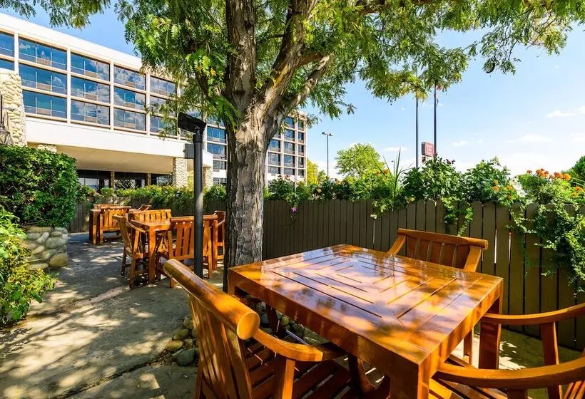 Grand Vista Hotel Grand Junction