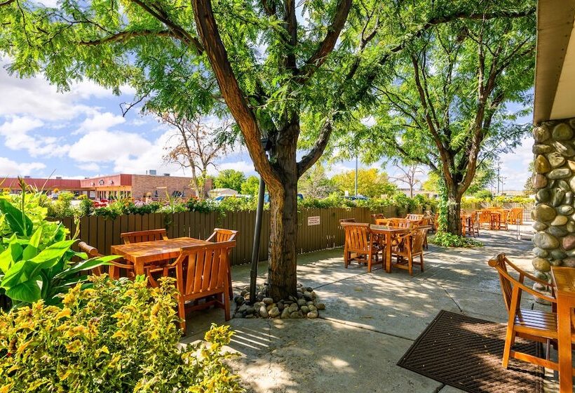 Grand Vista Hotel Grand Junction