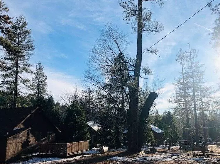 هتل Idyllwild Inn