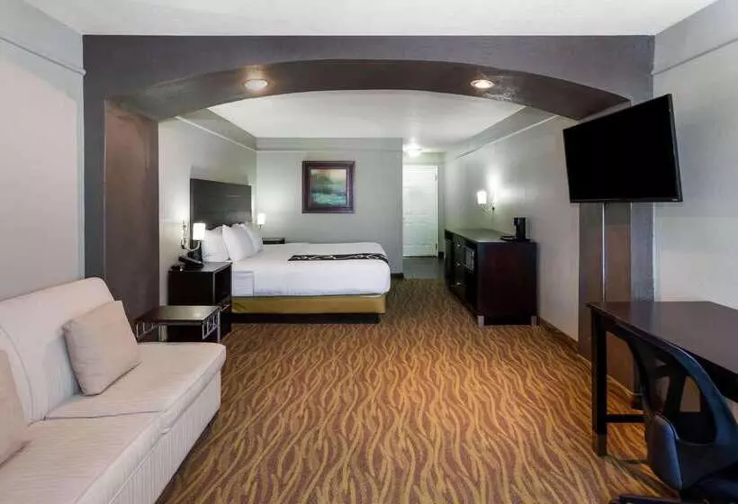 酒店 La Quinta By Wyndham Laredo Airport