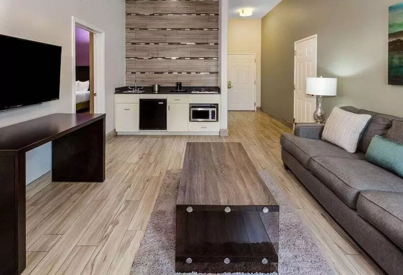 酒店 La Quinta By Wyndham Laredo Airport