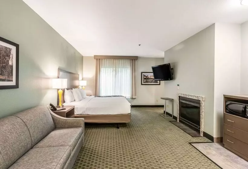 Отель La Quinta By Wyndham Newport