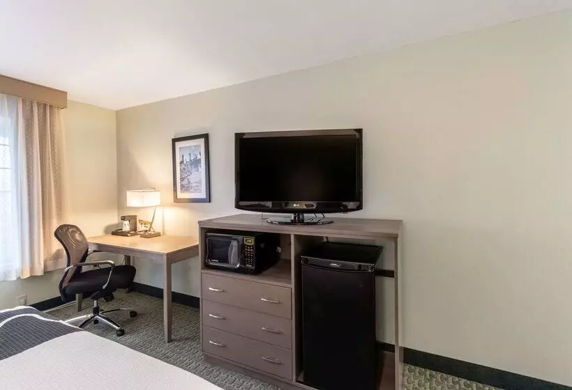 Отель La Quinta By Wyndham Newport